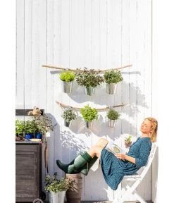 Dehner Gourmet Garten Zitronenmelisse -Outdoor Living Verkauf 20181011 PR MO 003 Kraeuter 01