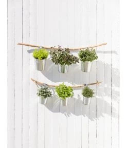 Dehner Gourmet Garten Zitronenmelisse -Outdoor Living Verkauf 20181011 PR MO 003 Kraeuter 04