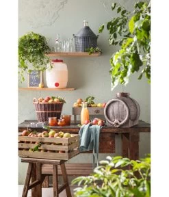 Glasballon Im Kunststoff-Schutzkorb -Outdoor Living Verkauf 207704 207712 207720 207738 207787 WE MO 001 GlasballonKunststoffSchutzkorb