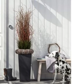 Dehner Kunststoff-Topf Elise, Konisch, Glänzend, Inkl. Bewässerungssystem 16 Dehner Kunststoff-Topf Elise, Konisch, Glänzend, Inkl. Bewässerungssystem -Outdoor Living Verkauf 2539518 WE MO 003 KunststofftopfEliseAnthrazit