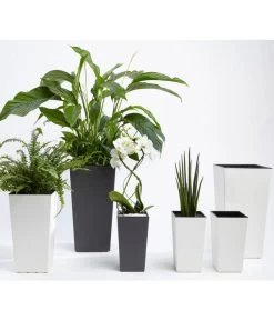 Dehner Kunststoff-Topf Elise, Konisch, Glänzend, Inkl. Bewässerungssystem 15 Dehner Kunststoff-Topf Elise, Konisch, Glänzend, Inkl. Bewässerungssystem -Outdoor Living Verkauf 2540136 MA FS 007 DehnerKunststofftopfElisemitSelbstbewaesserungsSystemca47x25x25cmanthrazit