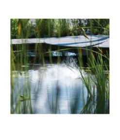 Seliger Nebelgerät Fogstar 600 -Outdoor Living Verkauf 2702553 WE MO 001 SeligerNebelgeraetFogstar600