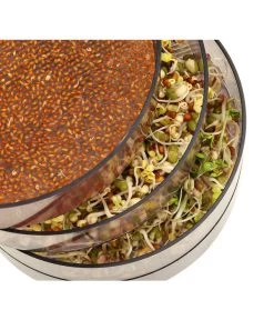 Dehner Sprossenhaus, 4 Schalen -Outdoor Living Verkauf 3677101 WE MO 002 DehnerSprossenhausKeimsprossen