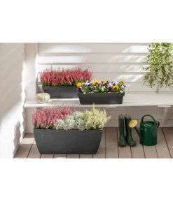 Kunststoff-Pflanzkasten Rille, Ca. B80/H34/T40 Cm, Anthrazit 7 Kunststoff-Pflanzkasten Rille, Ca. B80/H34/T40 Cm, Anthrazit -Outdoor Living Verkauf 3697406 WE MO 001 KunststoffPflanzkastenRille