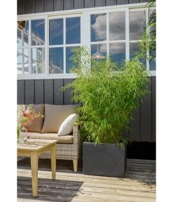 Dehner Kunststoff-Blumenkübel Palermo, Anthrazit -Outdoor Living Verkauf 3728110 3728151 3940756 WE MO 009 KunststoffBlumenkuebelKubusanthrazitBlumentopf