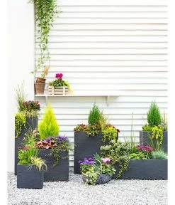 Dehner Kunststoff-Blumenkübel Palermo, Anthrazit -Outdoor Living Verkauf 3728110 3940764 3693611 WE MO 001 KunststoffPflanzkastenKubus