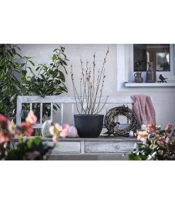 Kunststoff-Topf Padua, Rund -Outdoor Living Verkauf 3962933 WE MO 001 KunststoffTopfPadua