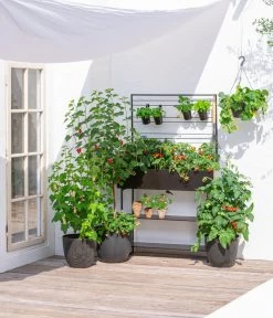 Kunststoff-Topf Padua, Rund -Outdoor Living Verkauf 3962933 WE MO 002 KunststoffTopfPaduarund