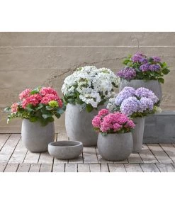 Dehner Leichtbeton-Topf Balloon Stone, Grau -Outdoor Living Verkauf 4058046 4058087 4057972 WE MO 004 DehnerLeichtbetonTopfPflanztopfPflanzvase