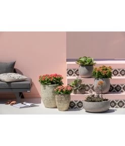 Dehner Leichtbeton-Topf Balloon Stone, Grau -Outdoor Living Verkauf 4058046 4058087 4057972 WE MO 005 DehnerLeichtbetonTopfBalloon