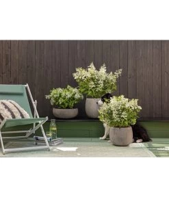 Dehner Leichtbeton-Topf Balloon Stone, Grau -Outdoor Living Verkauf 4058046 4058087 4057972 WE MO 006 DehnerLeichtbetonTopfBalloon