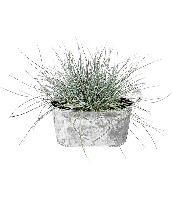 Dehner Zink-Jardiniere Mit Henkeln, Ca. B26/H15/T11,5 Cm 4 Dehner Zink-Jardiniere Mit Henkeln, Ca. B26/H15/T11,5 Cm – Bild 2