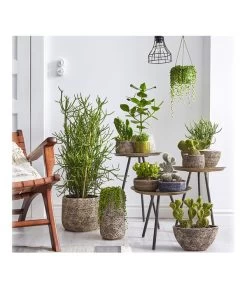 Dehner Keramik-Übertopf Stef, Bauchig, Braun, Ca. Ø25 Cm -Outdoor Living Verkauf 4083309 PR MO 002 TrenthemaIStefSukkulententhema 4083317 4083325 4083333 4084349 4084356 4084372 4084380 1