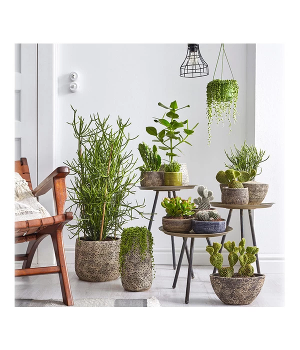 Dehner Keramik-Übertopf Stef, Bauchig, Braun, Ca. Ø25 Cm – Bild 3