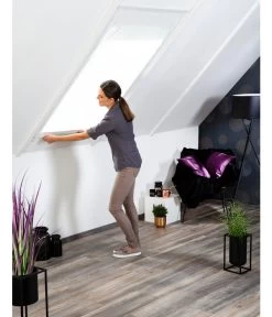 Hecht Dachfenster-Insektenschutz BASIC, Ca. B110/H160 Cm -Outdoor Living Verkauf 4144184 WE MO 002 HechtDachfensterInsektenschutz