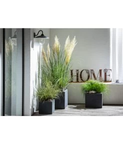 Dehner Kunststoff-Blumenkübel Palermo, Anthrazit -Outdoor Living Verkauf 4292165 WE MO 001 FerrumMetallBuchstabenSetHOMEcaB30H35T14cm