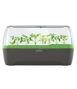 Romberg BoQube Gewächshaus -Outdoor Living Verkauf 4299970 WE FS 005 RombergGewaechshausZimmergewaechshausAnzucht