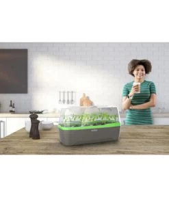 Romberg BoQube Gewächshaus -Outdoor Living Verkauf 4299970 WE MO 001 RombergGewaechshausZimmergewaechshausAnzucht