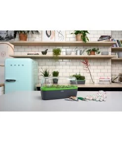 Romberg BoQube Gewächshaus -Outdoor Living Verkauf 4299970 WE MO 002 BoQubeGewaechshausZimmergewaechshaus