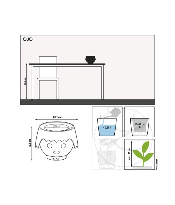 LECHUZA® OJO All-in-One-Set, Ca. Ø21/H15,8 Cm 7 LECHUZA® OJO All-in-One-Set, Ca. Ø21/H15,8 Cm – Bild 5