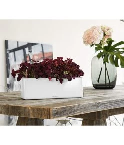 LECHUZA® CUBE Glossy Triple, All-in-One Set, 40 Cm -Outdoor Living Verkauf 4310652 PR MO 001 CubeGlossyTripleWeiss