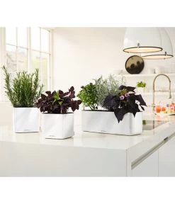 LECHUZA® CUBE Glossy Triple, All-in-One Set, 40 Cm -Outdoor Living Verkauf 4310652 PR MO 003 CubeGlossyTripleWeiss