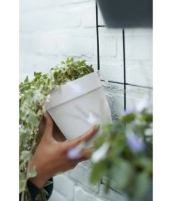 Elho Metall-Wandgitter Für Töpfe Loft Urban Green Wall Gestell, Ca. B47,3/H59/T1,5 Cm, Schwarz -Outdoor Living Verkauf 4315917 4315677 WE MO 002 elhoMetallWandgitterWandhaengetopf