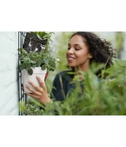 Elho Metall-Wandgitter Für Töpfe Loft Urban Green Wall Gestell, Ca. B47,3/H59/T1,5 Cm, Schwarz -Outdoor Living Verkauf 4315917 4315677 WE MO 008 elhoMetallWandgitterWandhaengetopf