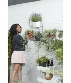 Elho Metall-Wandgitter Für Töpfe Loft Urban Green Wall Gestell, Ca. B47,3/H59/T1,5 Cm, Schwarz -Outdoor Living Verkauf 4315917 WE MO 002 elhoMetallWandgitterfuerToepfeBlumentopfurbangardening