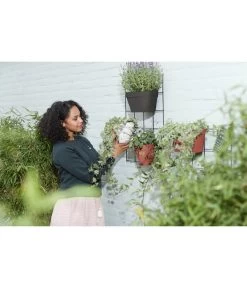 Elho Metall-Wandgitter Für Töpfe Loft Urban Green Wall Gestell, Ca. B47,3/H59/T1,5 Cm, Schwarz -Outdoor Living Verkauf 4315917 WE MO 003 elhoMetallWandgitterfuerToepfeBlumentopfurbangardening