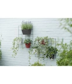 Elho Metall-Wandgitter Für Töpfe Loft Urban Green Wall Gestell, Ca. B47,3/H59/T1,5 Cm, Schwarz -Outdoor Living Verkauf 4315917 WE MO 009 elhoMetallWandgitterfuerToepfeBlumentopfurbangardening