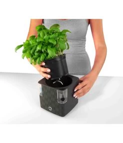 Dehner Kunststoff-Topf Mona, Eckig, Ca. B14/H14/T14 Cm 12 Dehner Kunststoff-Topf Mona, Eckig, Ca. B14/H14/T14 Cm -Outdoor Living Verkauf 4320743 PR FS 002 KunststoffTopfMonaGrau