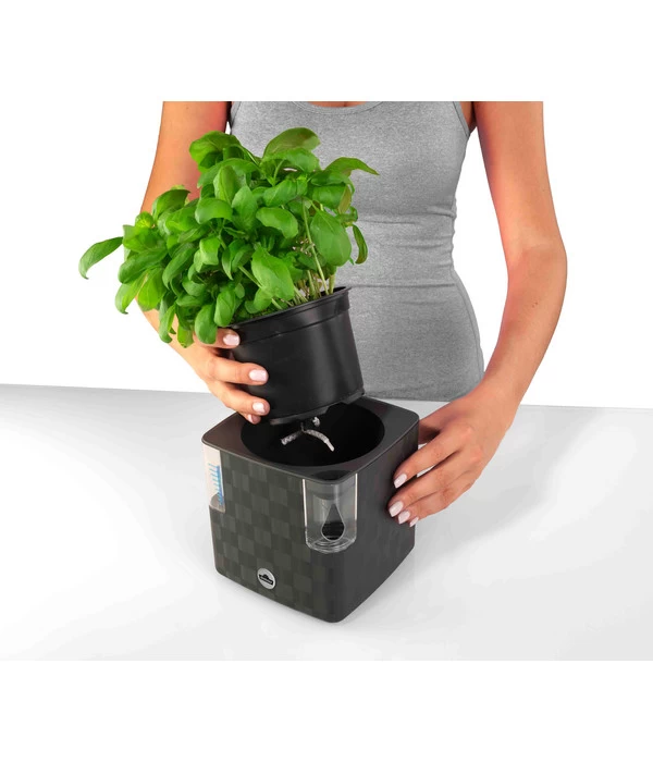 Dehner Kunststoff-Topf Mona, Eckig, Ca. B14/H14/T14 Cm 6 Dehner Kunststoff-Topf Mona, Eckig, Ca. B14/H14/T14 Cm – Bild 4