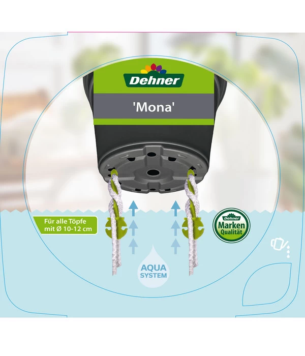 Dehner Kunststoff-Topf Mona, Eckig, Ca. B14/H14/T14 Cm 4 Dehner Kunststoff-Topf Mona, Eckig, Ca. B14/H14/T14 Cm – Bild 2