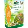 Dehner Natura Saatgut 'Schmetterlingsweide' -Outdoor Living Verkauf 4440475 WE FS 001 DehnerSchmetterlingswiese