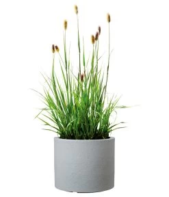 Scheurich Kunststoff-Topf Riva, Rund -Outdoor Living Verkauf 4498838 WE FS 003 ScheurichKunststoffTopfRivarund