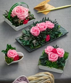 Dehner Keramik-Schale Mit Longlife-Rose Dita, Rosa, Ca. B10/H11/T10 Cm -Outdoor Living Verkauf 6380927 6537641 6537716 6537708 WE MO 001 LonglifeArrangements