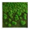 StyleGREEN Bild Aus Wald- Und Kugelmoos Im Verlauf, Ca. B80/H80/T7 Cm -Outdoor Living Verkauf 6429807 WE FS 001 Wald KugelmoosbildVerlauf80x80cm