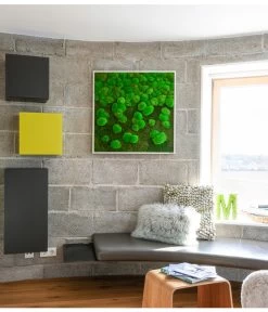 StyleGREEN Bild Aus Wald- Und Kugelmoos Im Verlauf, Ca. B80/H80/T7 Cm -Outdoor Living Verkauf 6429807 WE MO 001 Wald KugelmoosbildVerlauf80x80cm