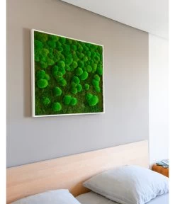 StyleGREEN Bild Aus Wald- Und Kugelmoos Im Verlauf, Ca. B80/H80/T7 Cm -Outdoor Living Verkauf 6429807 WE MO 002 Wald KugelmoosbildVerlauf80x80cm