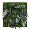 StyleGREEN Bild Aus Wald- Und Kugelmoos, Quadratisch, Ca. B55/H55/T17 Cm -Outdoor Living Verkauf 6429815 WE FS 001 Pflanzenbild55x55cm