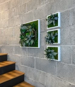 StyleGREEN Bild Aus Wald- Und Kugelmoos, Quadratisch, Ca. B55/H55/T17 Cm -Outdoor Living Verkauf 6429815 WE MO 001 Pflanzenbild55x55cm