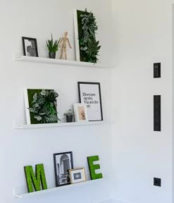 StyleGREEN Bild Im Dschungeldesign, Rechteckig, Ca. B57/H27/T16 Cm -Outdoor Living Verkauf 6429930 WE MO 002 Pflanzenbild57x27cmStylegreen