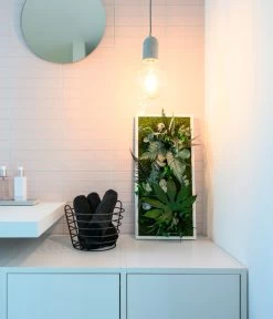 StyleGREEN Bild Im Dschungeldesign, Rechteckig, Ca. B57/H27/T16 Cm -Outdoor Living Verkauf 6429930 WE MO 003 Pflanzenbild57x27cmStylegreen