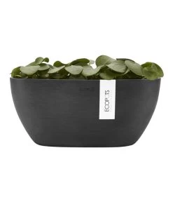 Ecopots Kunststoff-Schale Sofia Mit Wassersystem, Oval, Dunkelgrau, Ca. B30/H13,5/T13 Cm -Outdoor Living Verkauf 6614929 WE FS 004 EcopotsKunststoffSchaleSofiamitWassersystemovaldunkelgrau