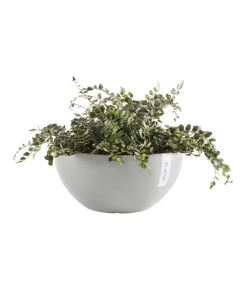 Ecopots Kunststoff-Topf Brussels, Rund -Outdoor Living Verkauf 6614978 WE FS 002 EcopotsKunststoffTopfBrusselsrund