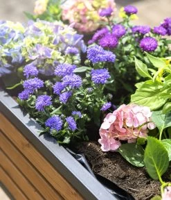 Hecht Hochbeet Cube Elements -Outdoor Living Verkauf 6632277 WE DE 002 HechtHochbeet