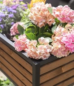 Hecht Hochbeet Cube Elements -Outdoor Living Verkauf 6632277 WE DE 003 HechtHochbeet