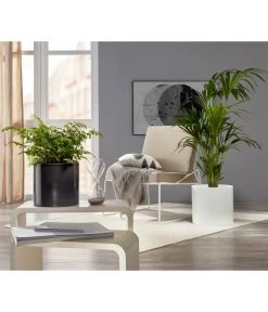 Scheurich Keramik-Übertopf, Rund, Ca. Ø33 Cm -Outdoor Living Verkauf 6642151 PR MO 001 TopfPanna