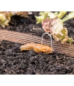 Windhager Schneckenzaun, Ca. L8 M -Outdoor Living Verkauf 6663322 WE MO 001 WindhagerSchneckenzaun